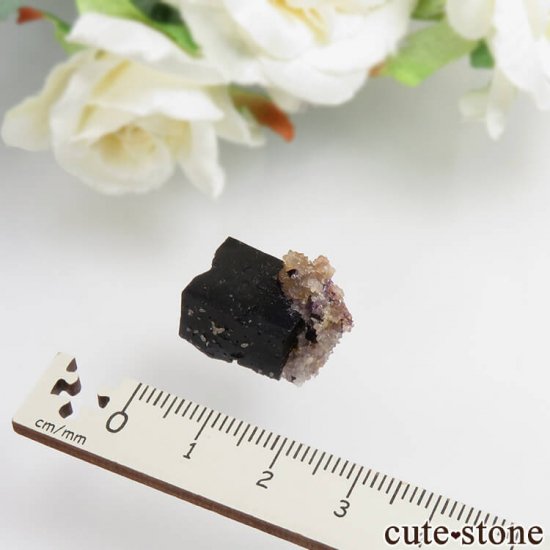 ɥ Zehntausend Ritter Mine ѡץ֥åե饤ȡ No.7μ̿2 cute stone