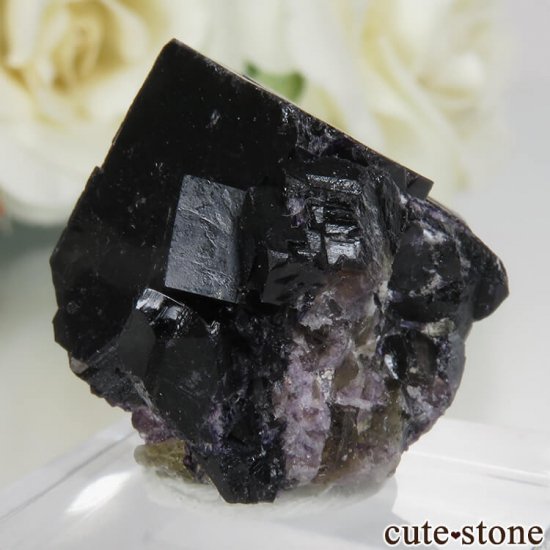 ɥ Zehntausend Ritter Mine ѡץ֥åե饤 No.8μ̿1 cute stone