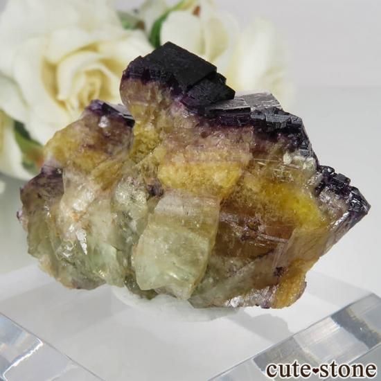 ドイツ Zehntausend Ritter Mine産 パープル×イエローフロー