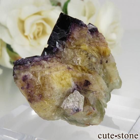 ɥ Zehntausend Ritter Mine ѡץߥե饤 No.9μ̿1 cute stone