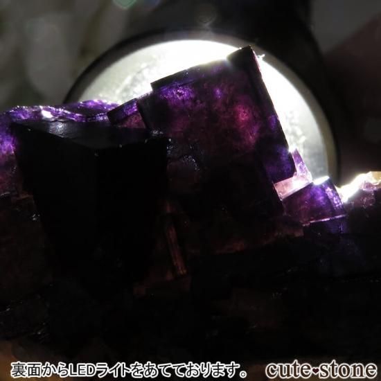 ドイツ Zehntausend Ritter Mine産 パープル×イエローフロー