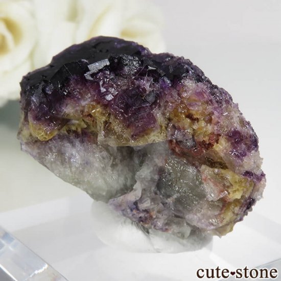 ɥ Zehntausend Ritter Mine ѡץߥե饤 No.10μ̿0 cute stone