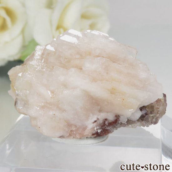 ɥ Schottenberg Nowaja Shaft(Shaft 78) ѡץߥե饤ȡХ饤 No.1μ̿0 cute stone