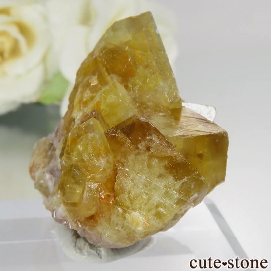 ɥ Bauerin Mine ե饤 No.1μ̿0 cute stone