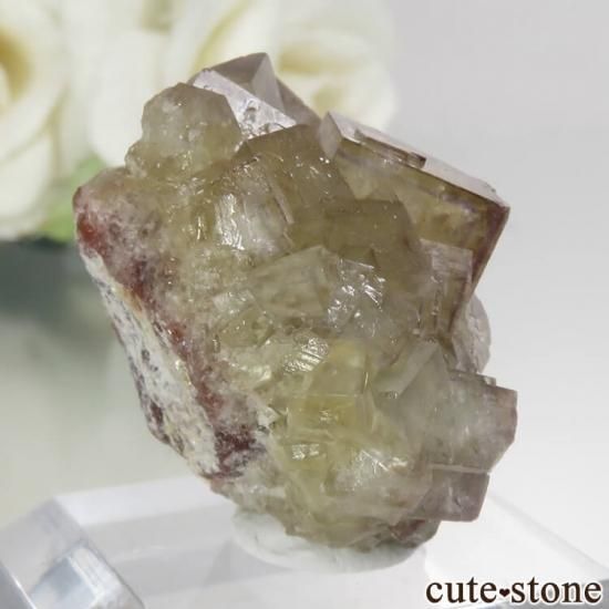 ɥ Bauerin Mine ե饤 No.2μ̿0 cute stone