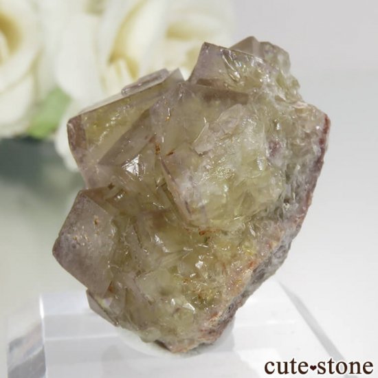 ɥ Bauerin Mine ե饤 No.2μ̿1 cute stone
