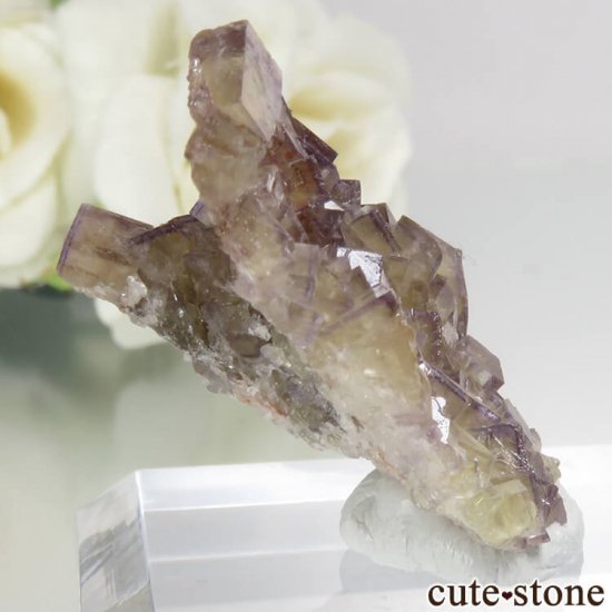ɥ Bergmannisch Gluck Mine ե饤Ȥθ No.2μ̿0 cute stone