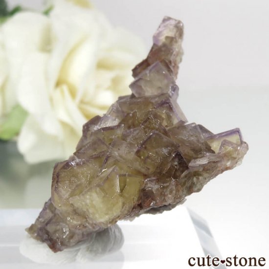 ɥ Bergmannisch Gluck Mine ե饤Ȥθ No.2μ̿1 cute stone