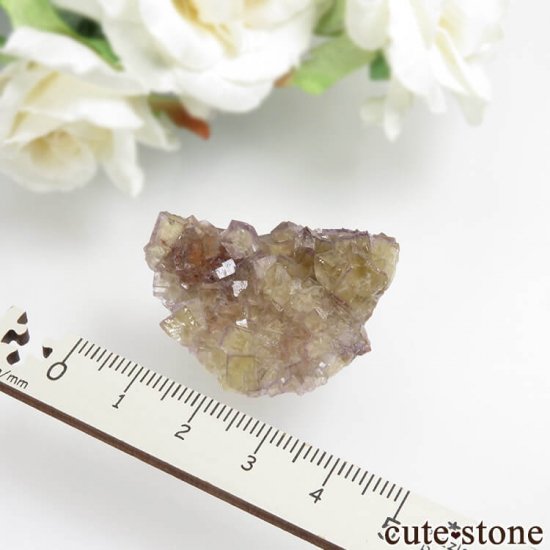 ɥ Bergmannisch Gluck Mine ե饤Ȥθ No.2μ̿2 cute stone
