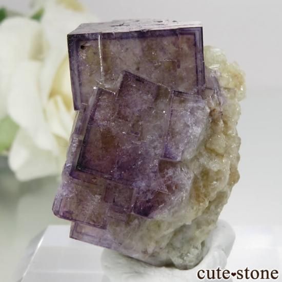 ドイツ Bergmannisch Gluck Mine産 パープル×イエローフロー