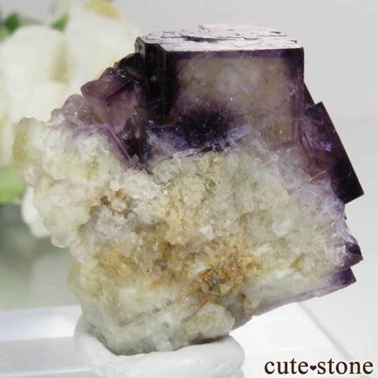 ɥ Bergmannisch Gluck Mine ѡץߥե饤Ȥθ No.3μ̿0 cute stone