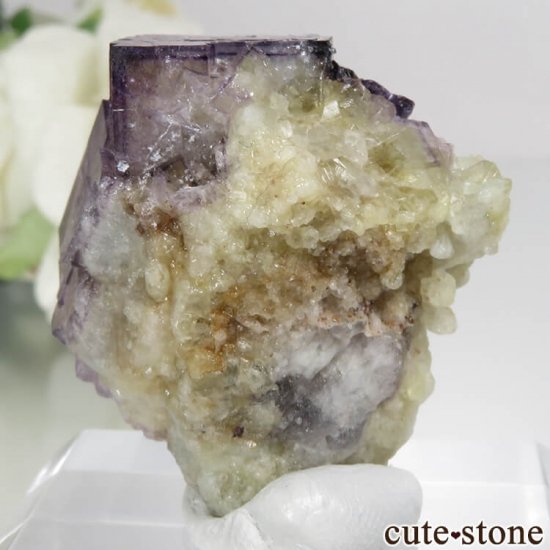 ɥ Bergmannisch Gluck Mine ѡץߥե饤Ȥθ No.3μ̿1 cute stone