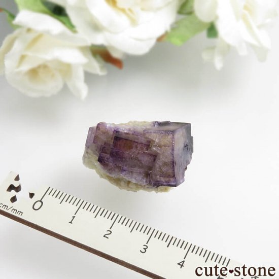 ɥ Bergmannisch Gluck Mine ѡץߥե饤Ȥθ No.3μ̿2 cute stone