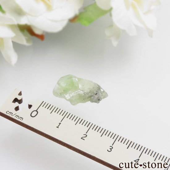 󥶥˥ ץȤθ No.4μ̿1 cute stone