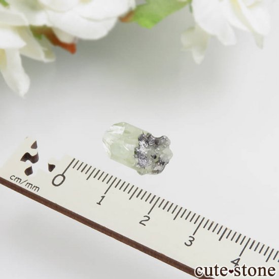 󥶥˥ ץȤθ No.5μ̿1 cute stone
