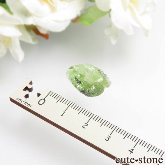 󥶥˥ ץȤθ No.7μ̿1 cute stone