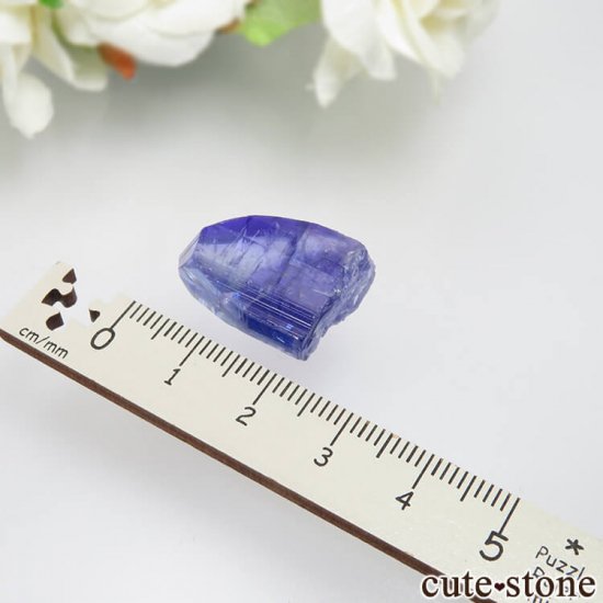 󥶥˥ ˻ 󥶥ʥȤθСʲǮ No.45μ̿3 cute stone