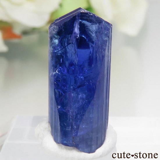󥶥˥ ˻ 󥶥ʥȤθСʲǮ No.46μ̿2 cute stone