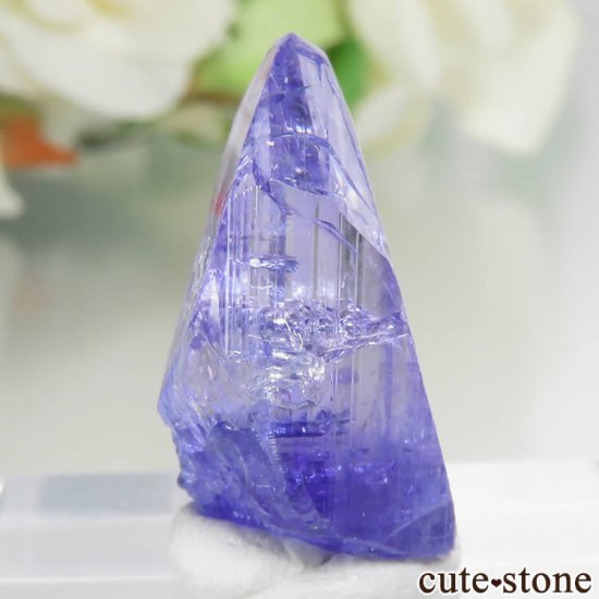 󥶥˥ ˻ 󥶥ʥȤθСʲǮ No.47μ̿0 cute stone
