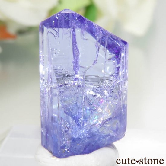 󥶥˥ ˻ 󥶥ʥȤθСʲǮ No.47μ̿1 cute stone