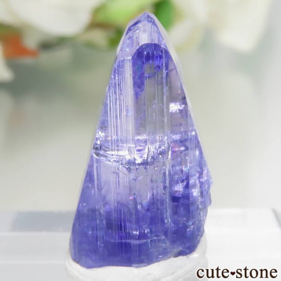 󥶥˥ ˻ 󥶥ʥȤθСʲǮ No.47μ̿2 cute stone