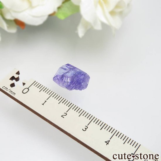 󥶥˥ ˻ 󥶥ʥȤθСʲǮ No.47μ̿3 cute stone