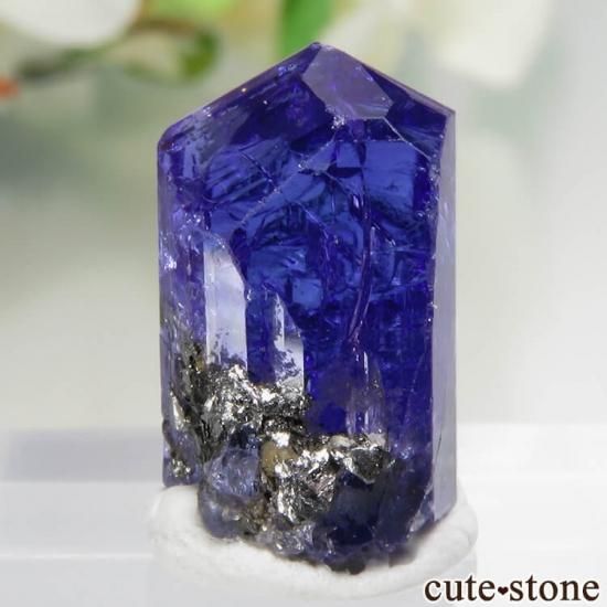 󥶥˥ ˻ 󥶥ʥȤθСʲǮ No.48