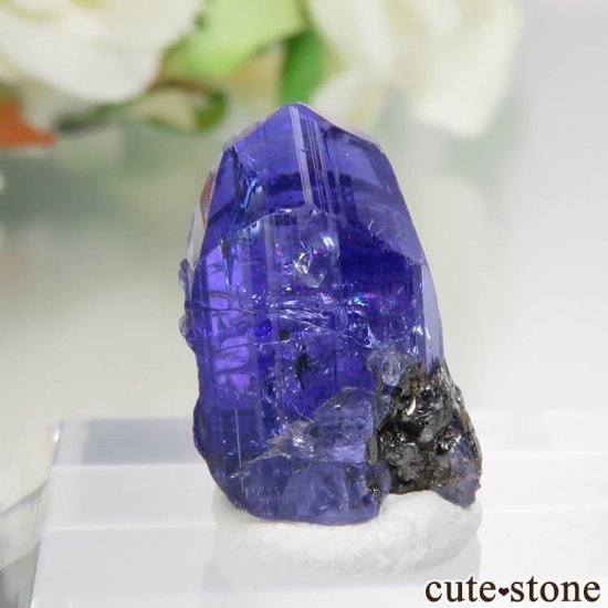 󥶥˥ ˻ 󥶥ʥȤθСʲǮ No.48μ̿0 cute stone