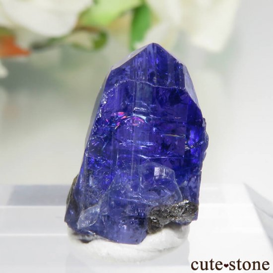 󥶥˥ ˻ 󥶥ʥȤθСʲǮ No.48μ̿2 cute stone