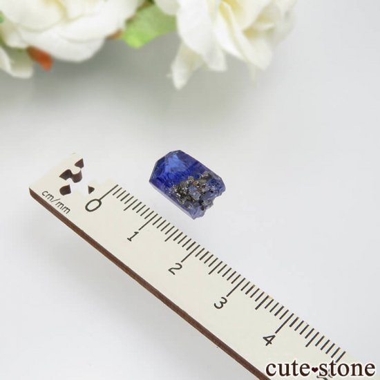 󥶥˥ ˻ 󥶥ʥȤθСʲǮ No.48μ̿3 cute stone