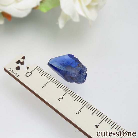 󥶥˥ ˻ 󥶥ʥȤθСʲǮ No.49μ̿3 cute stone