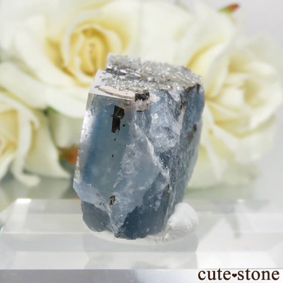 ڥ Gloria Mine ֥롼ե饤ȡĤθ No.1μ̿1 cute stone