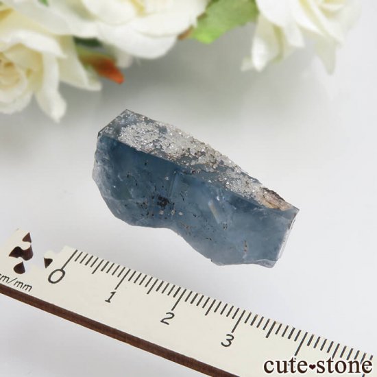 ڥ Gloria Mine ֥롼ե饤ȡĤθ No.1μ̿3 cute stone