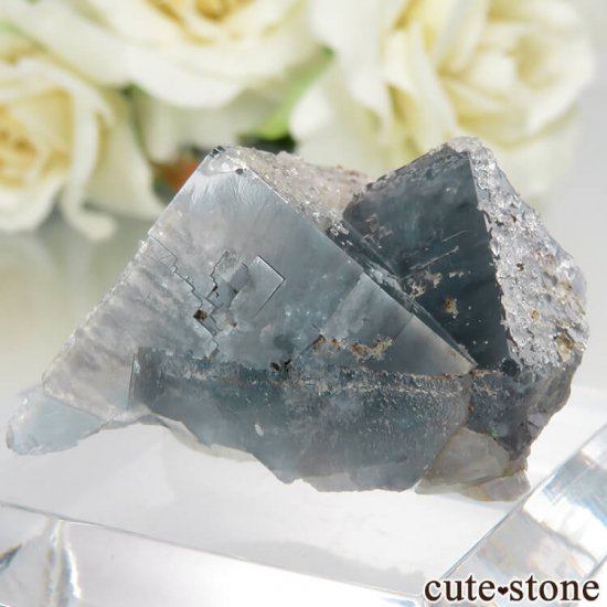 ڥ Gloria Mine ֥롼ե饤ȡĤθ No.2μ̿1 cute stone
