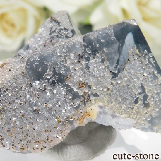 ڥ Gloria Mine ֥롼ե饤ȡĤθ No.2μ̿2 cute stone