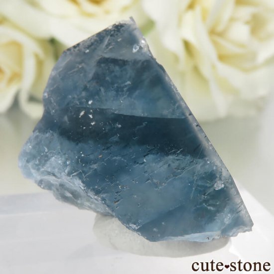 ڥ Gloria Mine ֥롼ե饤ȡĤθ No.3μ̿0 cute stone