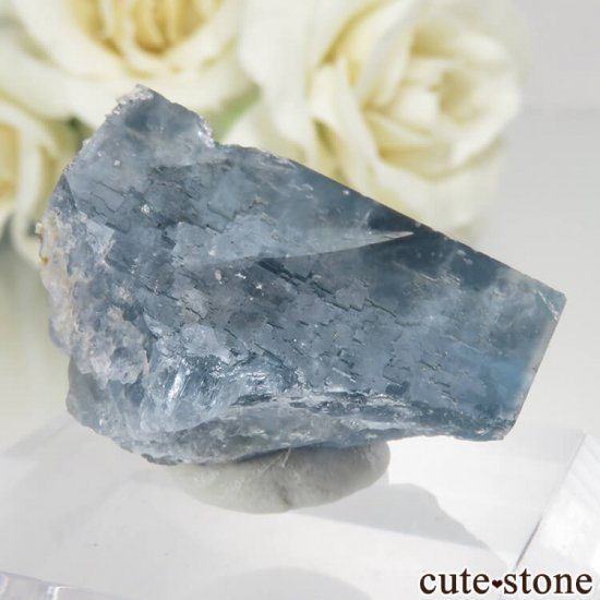 ڥ Gloria Mine ֥롼ե饤ȡĤθ No.3μ̿1 cute stone