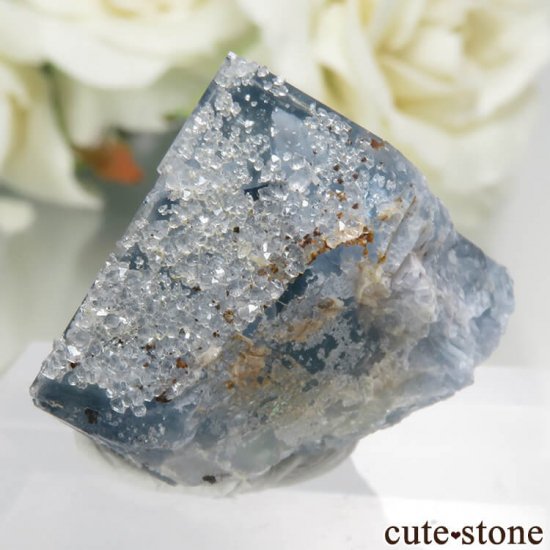 ڥ Gloria Mine ֥롼ե饤ȡĤθ No.3μ̿2 cute stone