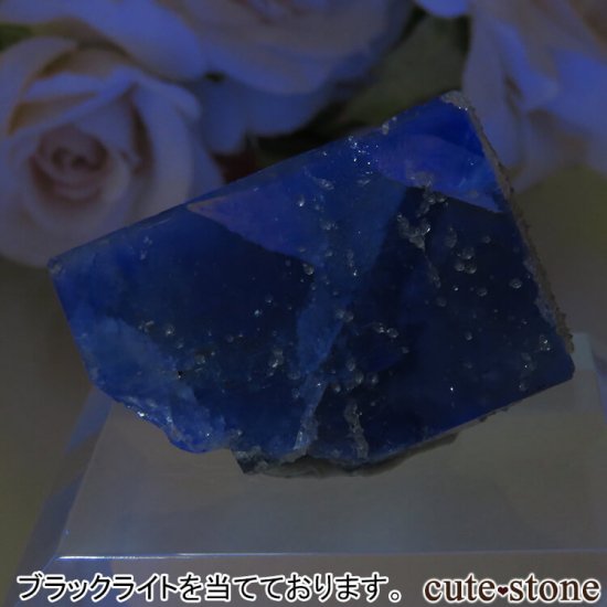 ڥ Gloria Mine ֥롼ե饤ȡĤθ No.3μ̿4 cute stone