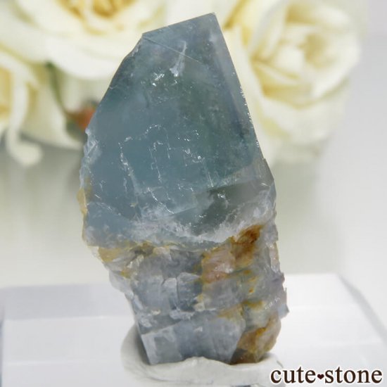 ڥ Gloria Mine ֥롼ե饤ȡĤθ No.4μ̿0 cute stone
