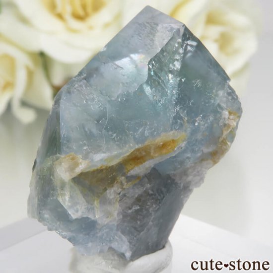 ڥ Gloria Mine ֥롼ե饤ȡĤθ No.4μ̿1 cute stone