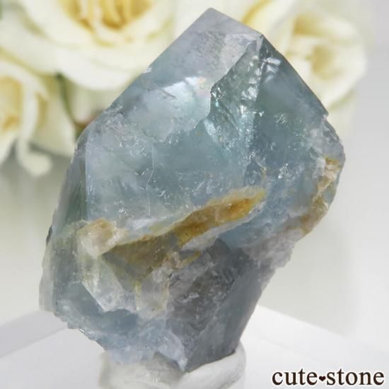 ڥ Gloria Mine ֥롼ե饤ȡĤθ No.4μ̿1 cute stone