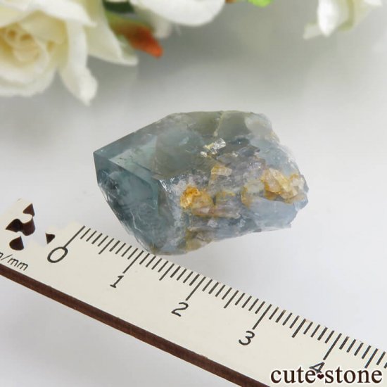 ڥ Gloria Mine ֥롼ե饤ȡĤθ No.4μ̿3 cute stone