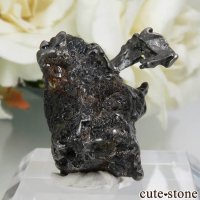 アドミア隕石（パラサイト・石鉄隕石）の標本 No.5の画像
