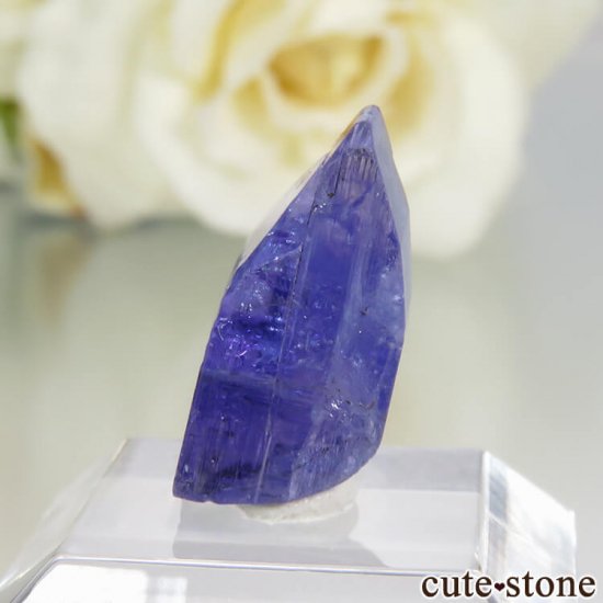 󥶥˥ ˻ 󥶥ʥȤθСʲǮ No.50μ̿2 cute stone