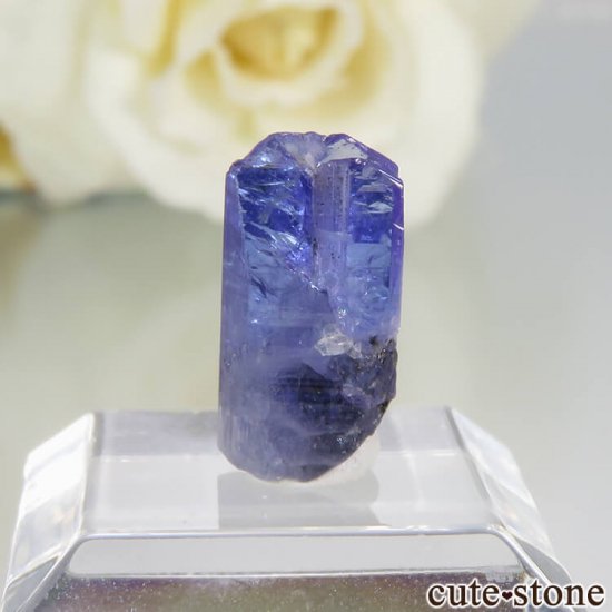 󥶥˥ ˻ 󥶥ʥȤθСʲǮ No.51μ̿1 cute stone