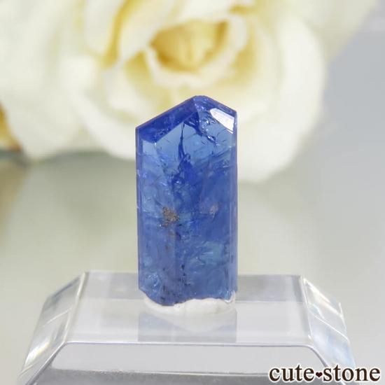 󥶥˥ ˻ 󥶥ʥȤθСʲǮ No.56μ̿1 cute stone