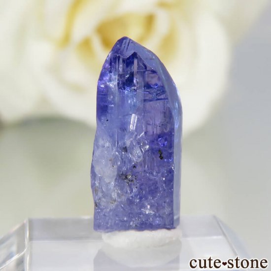 󥶥˥ ˻ 󥶥ʥȤθСʲǮ No.60μ̿0 cute stone