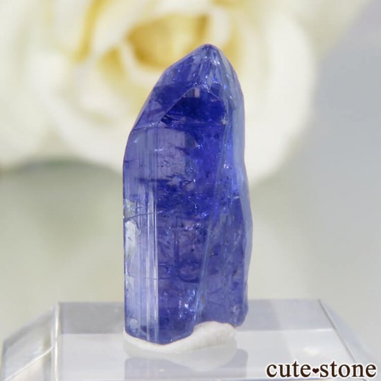 󥶥˥ ˻ 󥶥ʥȤθСʲǮ No.60μ̿2 cute stone