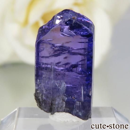 󥶥˥ ˻ 󥶥ʥȤθСʲǮ No.61μ̿1 cute stone